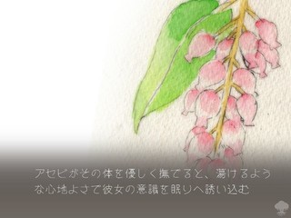 カシトラ千年樹のゲーム画面「タイトル画面」