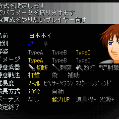 Amateur's Garden Ver2のイメージ-キャラメイクでできることはこの程度です
