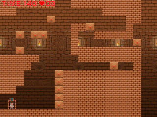 ADVENTURER ～カテスア遺跡の秘宝～のゲーム画面「簡単で単純なステージ構成」