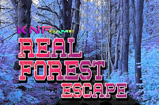 Real Forest Escapeのゲーム画面「Real Forest Escape」