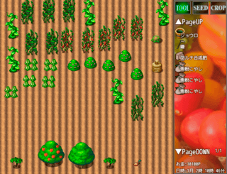 クリック農場のゲーム画面「play2」