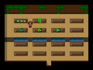 トコナツ島の奇跡のゲーム画面「自宅の近くにある畑で、植物を栽培できます。」