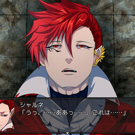 勇者シャルネ。彼に何があったのか。