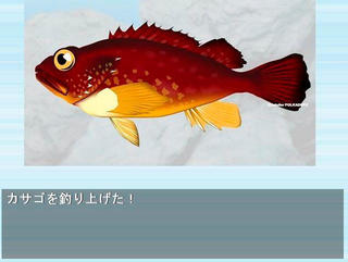 海釣りＦｉｇｈｔｅｒ！のゲーム画面「魚が釣れれた場面はこんな感じです！」