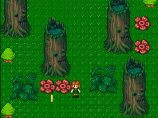 森の少年の大冒険　お試し版のゲーム画面「最初の画面」