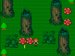 森の少年の大冒険　お試し版のゲーム画面「ゲーム画面1」