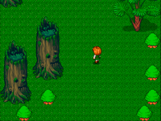 森の少年の大冒険　お試し版のゲーム画面「ゲーム画面2」