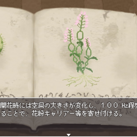 図鑑