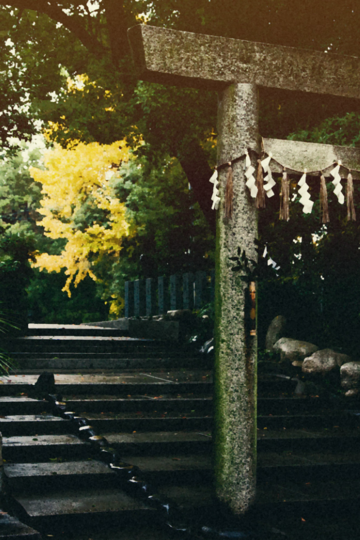 重要な舞台となる神社です。