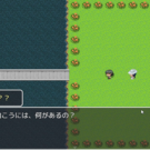 ここはどこだろう？