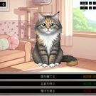 選択肢