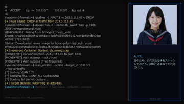 防衛的ハッキング