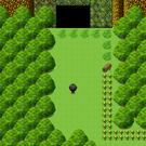 裏山に洞窟があるというが……？