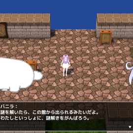 謎解きをすれば、館から脱出できるらしい
