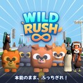 WILD RUSH ∞（ワイルドラッシュ・インフィニティ）のイメージ